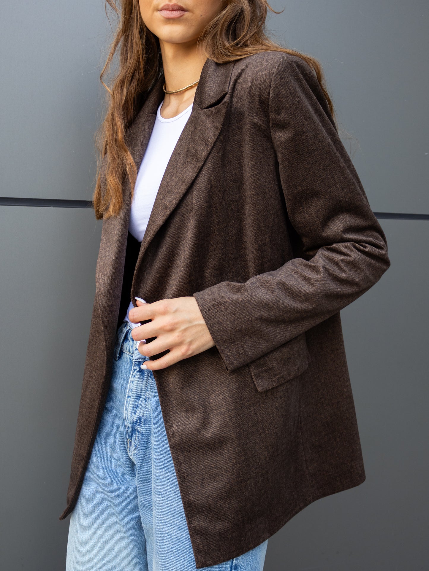 Glacier Cut Blazer in Brown