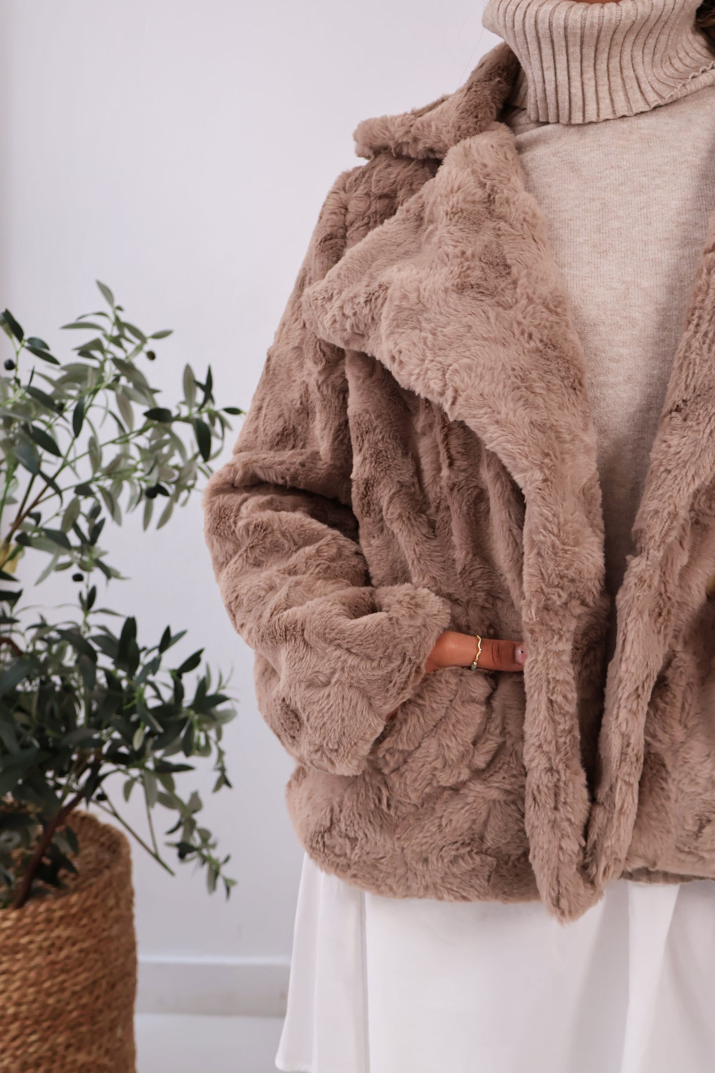 Wild Whisper Cropped Fur in Dark Beige